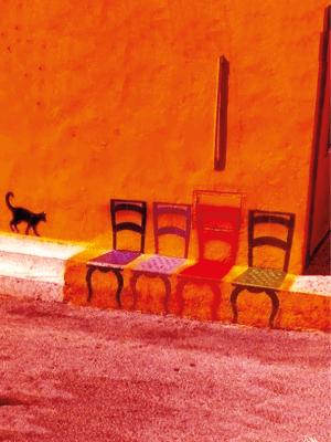 chat et chaises 